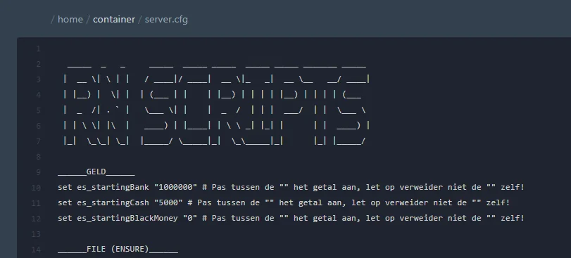 Voorbeeld van de makkelijke server.cfg van een RN Scripts FiveM server, met Nederlandse uitleg